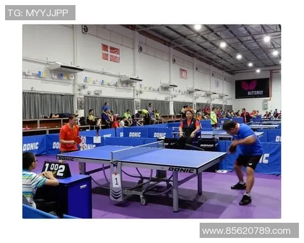 杭州乒乓球队在大师赛中的默契配合与战术执行分析