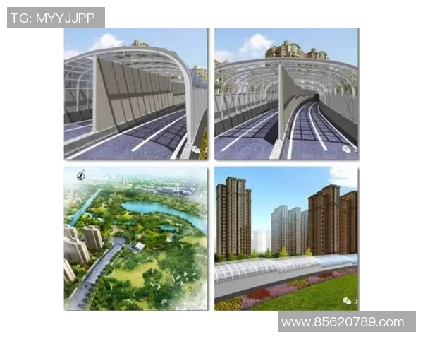 武汉篮球队的崛起与发展探秘展现城市力量与团结精神 武汉篮球队的崛起与发展探秘展现城市力量与团结精神