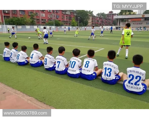 深圳足球队转型升级之路：从传统到现代的全新探索与实践