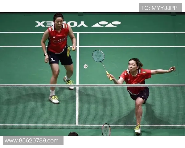 独家分析:武汉羽毛球队的力量对比 独家分析:武汉羽毛球队的力量对比