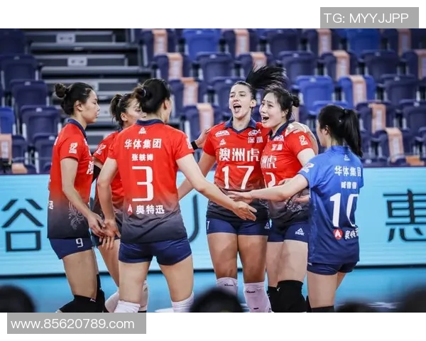 排球专题：聚焦深圳排球队的力量