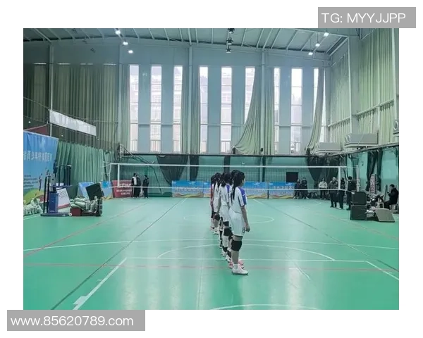 独家分析:西安排球队的状态对比 独家分析:西安排球队的状态对比