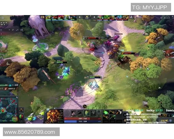 热议DOTA2：RNG的配合变革