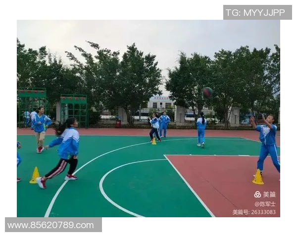 对话陈军：谈篮球生涯